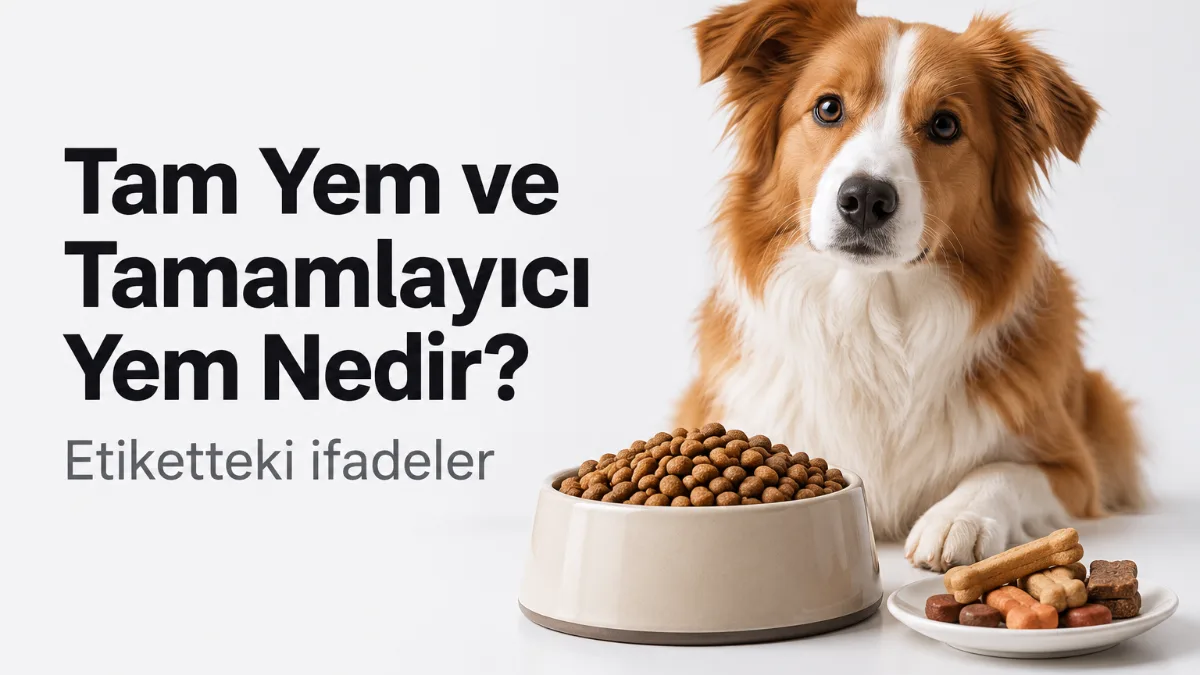 Tam yem ve tamamlayıcı yem nedir? Etiketteki ifadeler