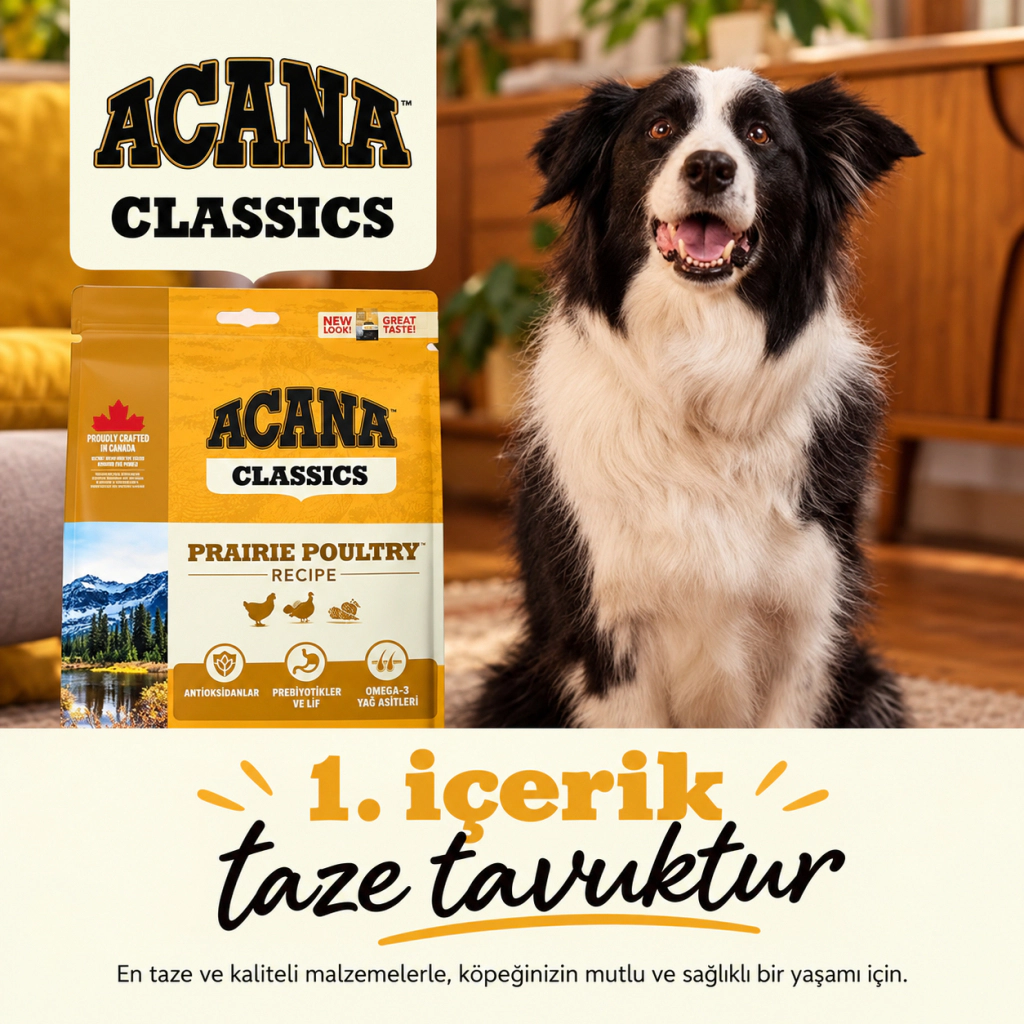 Acana Classics Prairie Poultry Tavuklu ve Hindili Köpek Maması ambalaj görseli (4)