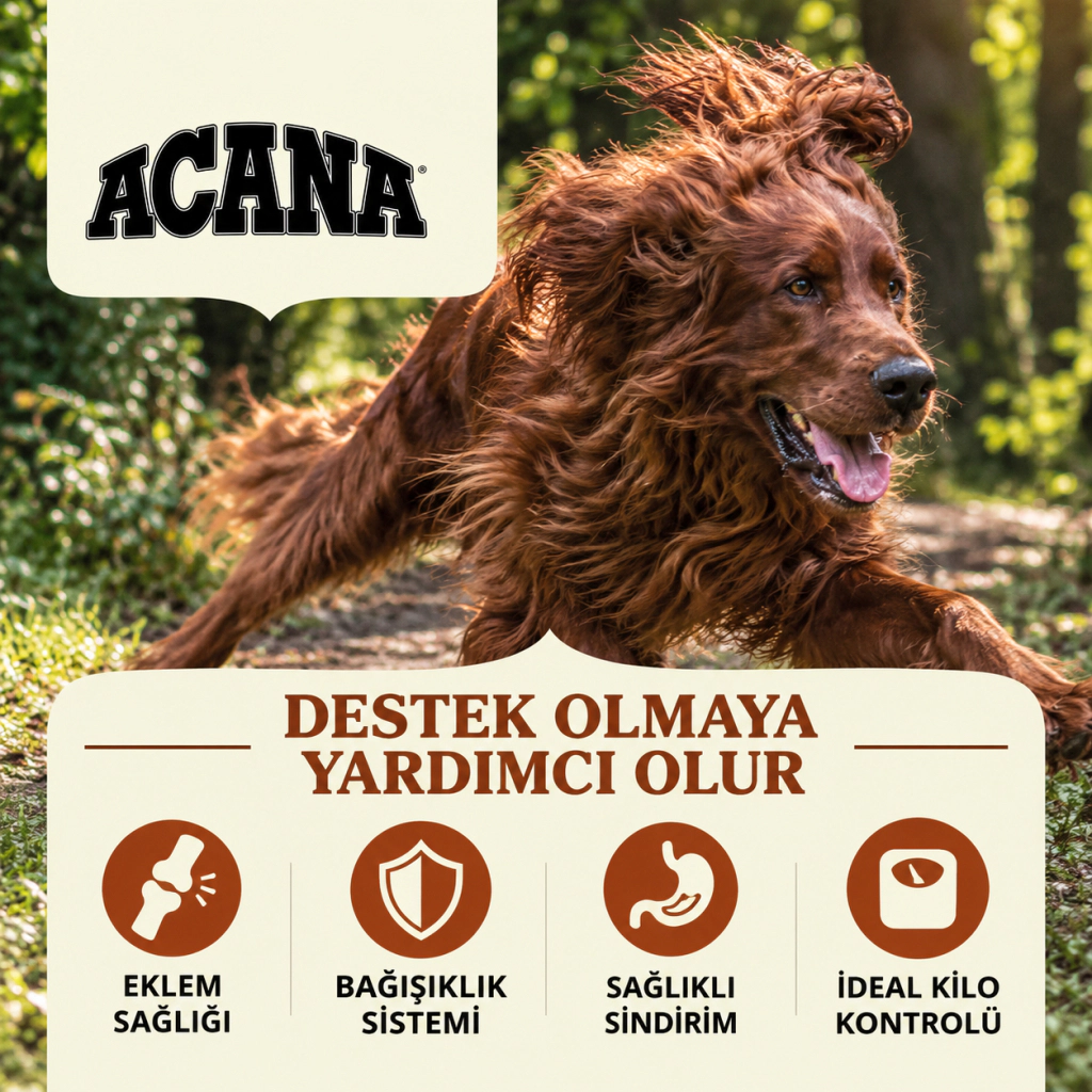 Acana Large Adult Tavuklu Hindili ve Ringa Balıklı Büyük Irk Tahılsız Yetişkin Köpek Maması ambalaj görseli (4)