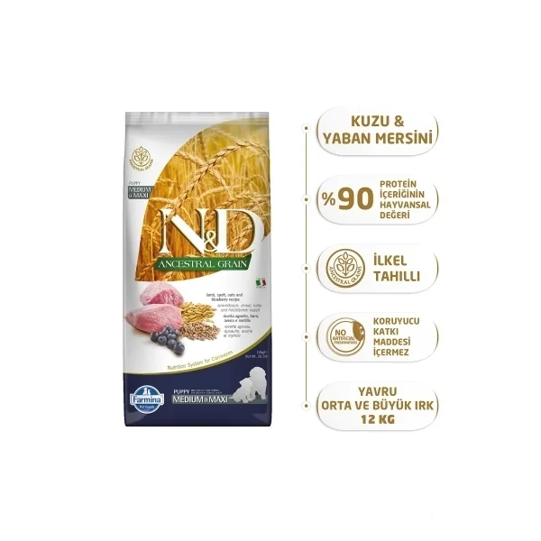 N&D Ancestral Grain Medium&Maxi Kuzu Etli Yaban Mersinli Orta ve Büyük Irk Yavru Köpek Maması ambalaj görseli