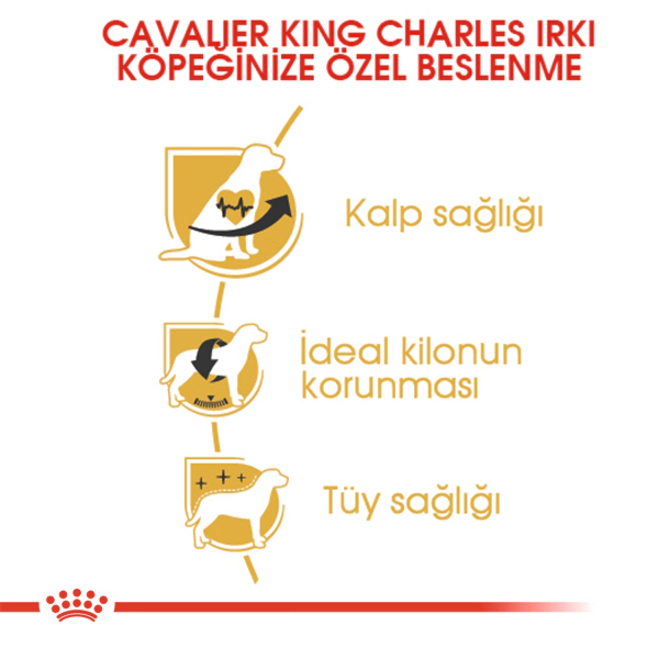 Royal Canin Cavalier King Charles Adult Yetişkin Köpek Maması ambalaj görseli (4)