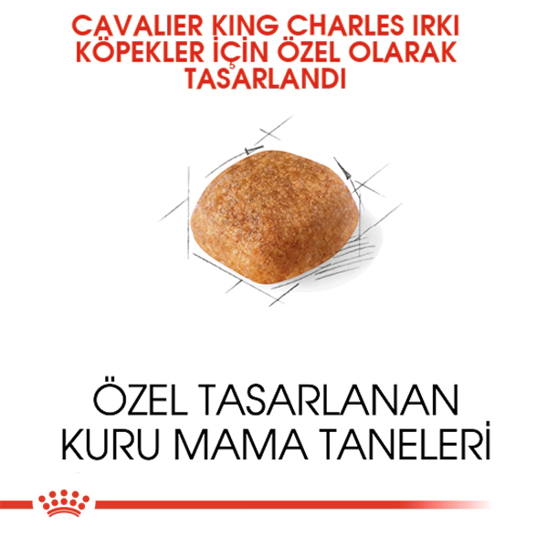 Royal Canin Cavalier King Charles Adult Yetişkin Köpek Maması ambalaj görseli (5)