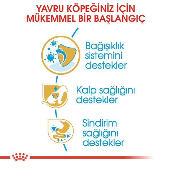 Royal Canin Cavalier King Charles Puppy Yavru Köpek Maması ambalaj görseli (4)