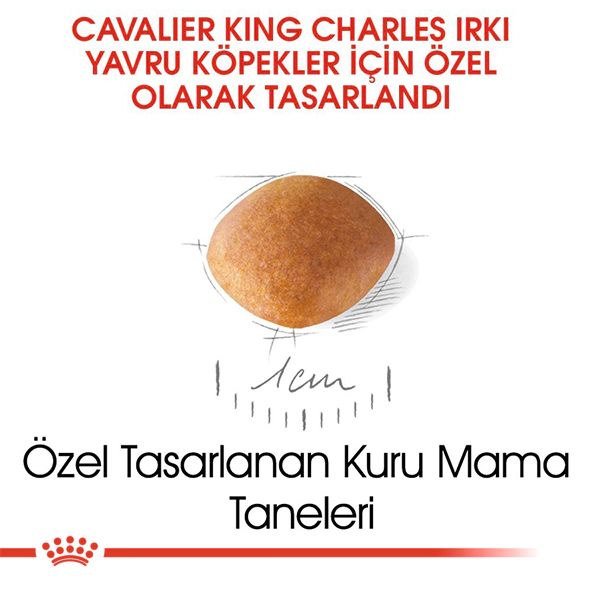 Royal Canin Cavalier King Charles Puppy Yavru Köpek Maması ambalaj görseli (5)
