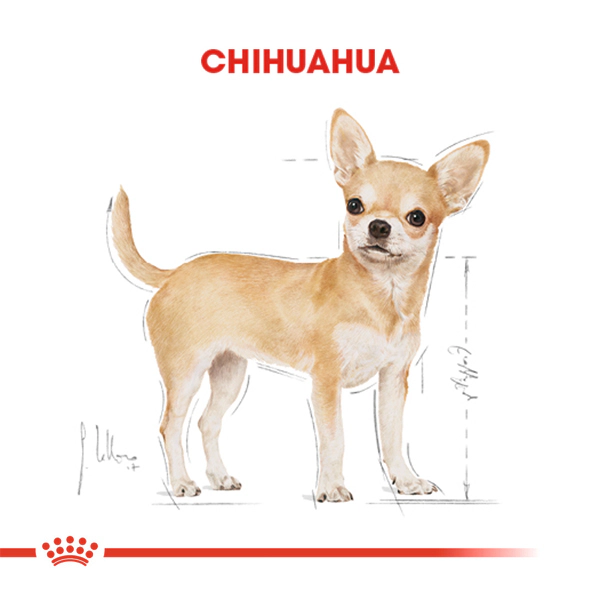 Royal Canin Chihuahua Adult Yetişkin Köpek Maması ambalaj görseli (3)