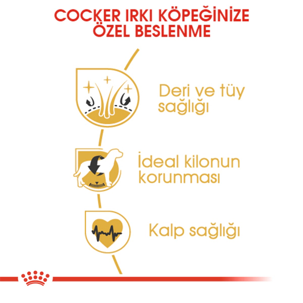 Royal Canin Cocker Spaniel Adult Yetişkin Köpek Maması ambalaj görseli (4)