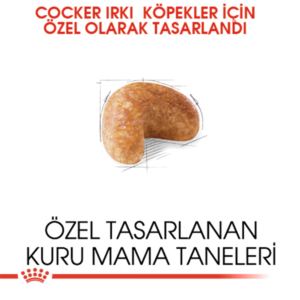 Royal Canin Cocker Spaniel Adult Yetişkin Köpek Maması ambalaj görseli (5)