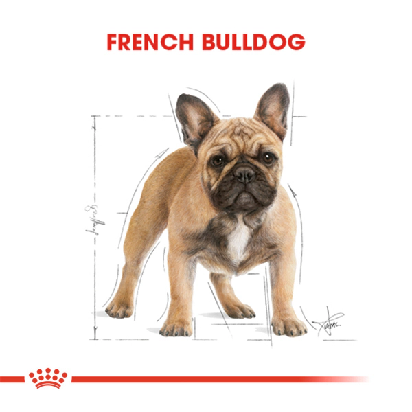 Royal Canin French Bulldog Adult Yetişkin Köpek Maması ambalaj görseli (3)