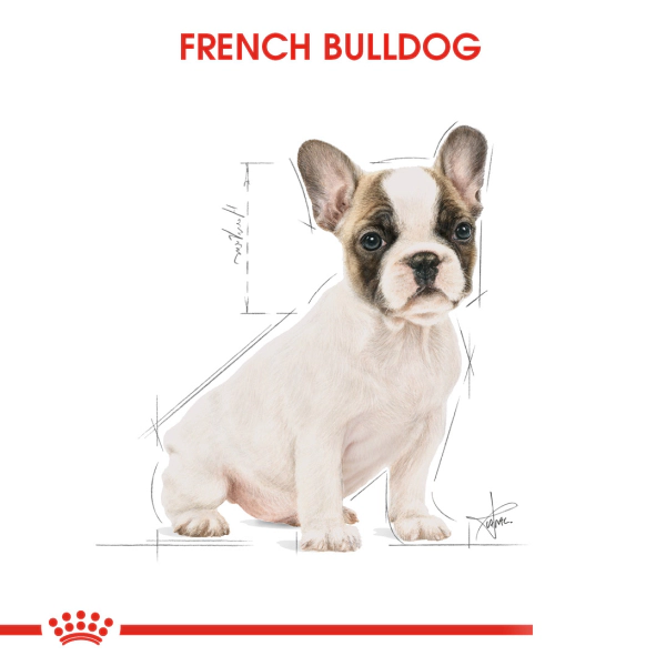 Royal Canin French Bulldog Puppy Yavru Köpek Maması ambalaj görseli (3)