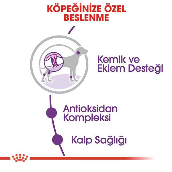 Royal Canin Giant Adult Dev Irk Yetişkin Köpek Maması ambalaj görseli (3)