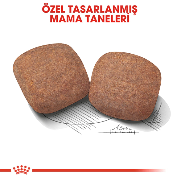 Royal Canin Giant Adult Dev Irk Yetişkin Köpek Maması ambalaj görseli (5)