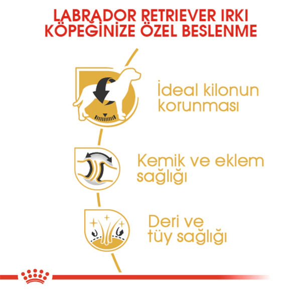 Royal Canin Labrador Retriever Adult Yetişkin Köpek Maması ambalaj görseli (4)