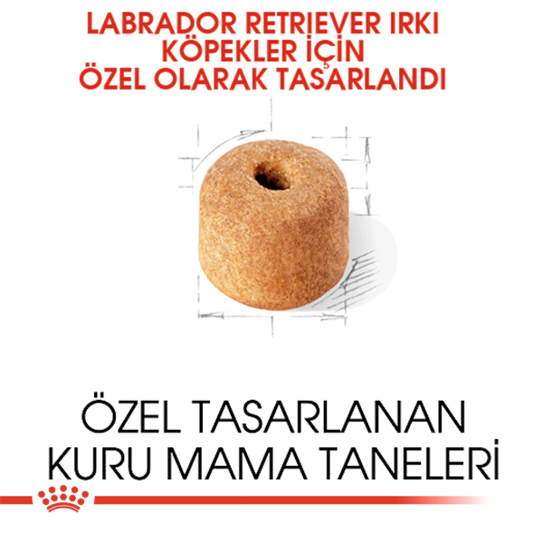 Royal Canin Labrador Retriever Adult Yetişkin Köpek Maması ambalaj görseli (5)