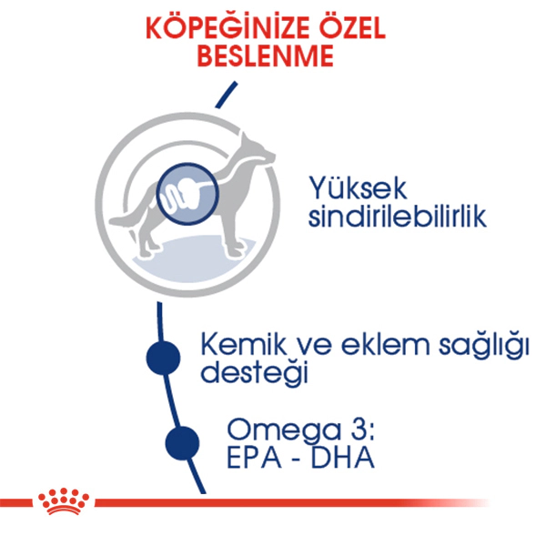 Royal Canin Maxi Adult Büyük Irk Yetişkin Köpek Maması ambalaj görseli