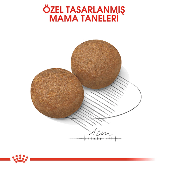 Royal Canin Maxi Adult Büyük Irk Yetişkin Köpek Maması ambalaj görseli (2)
