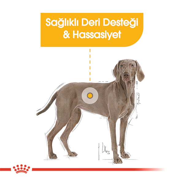 Royal Canin Maxi Dermacomfort Yetişkin Köpek Maması ambalaj görseli (3)
