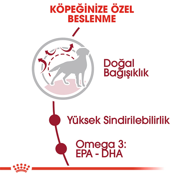 Royal Canin Medium Adult Orta Irk Yetişkin Köpek Maması ambalaj görseli (3)