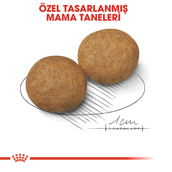 Royal Canin Medium Adult Orta Irk Yetişkin Köpek Maması ambalaj görseli (4)