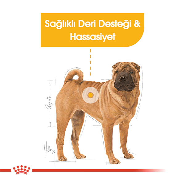 Royal Canin Medium Dermacomfort Orta Irk Yetişkin Köpek Maması ambalaj görseli (3)