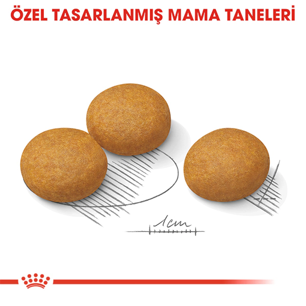 Royal Canin Medium Dermacomfort Orta Irk Yetişkin Köpek Maması ambalaj görseli (5)