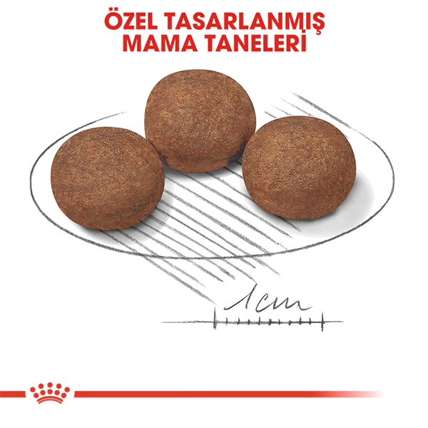 Royal Canin Medium Puppy Orta Irk Yavru Köpek Maması ambalaj görseli (5)