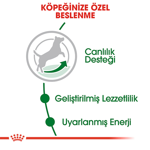 Royal Canin Mini Adult 8+ Küçük Irk Yaşlı Köpek Maması ambalaj görseli (3)