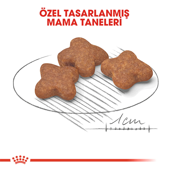 Royal Canin Mini Adult 8+ Küçük Irk Yaşlı Köpek Maması ambalaj görseli (4)