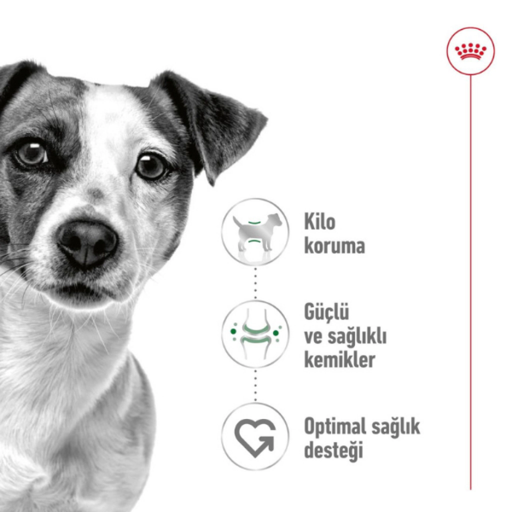 Royal Canin Mini Adult Küçük Irk Yetişkin Köpek Maması ambalaj görseli (2)