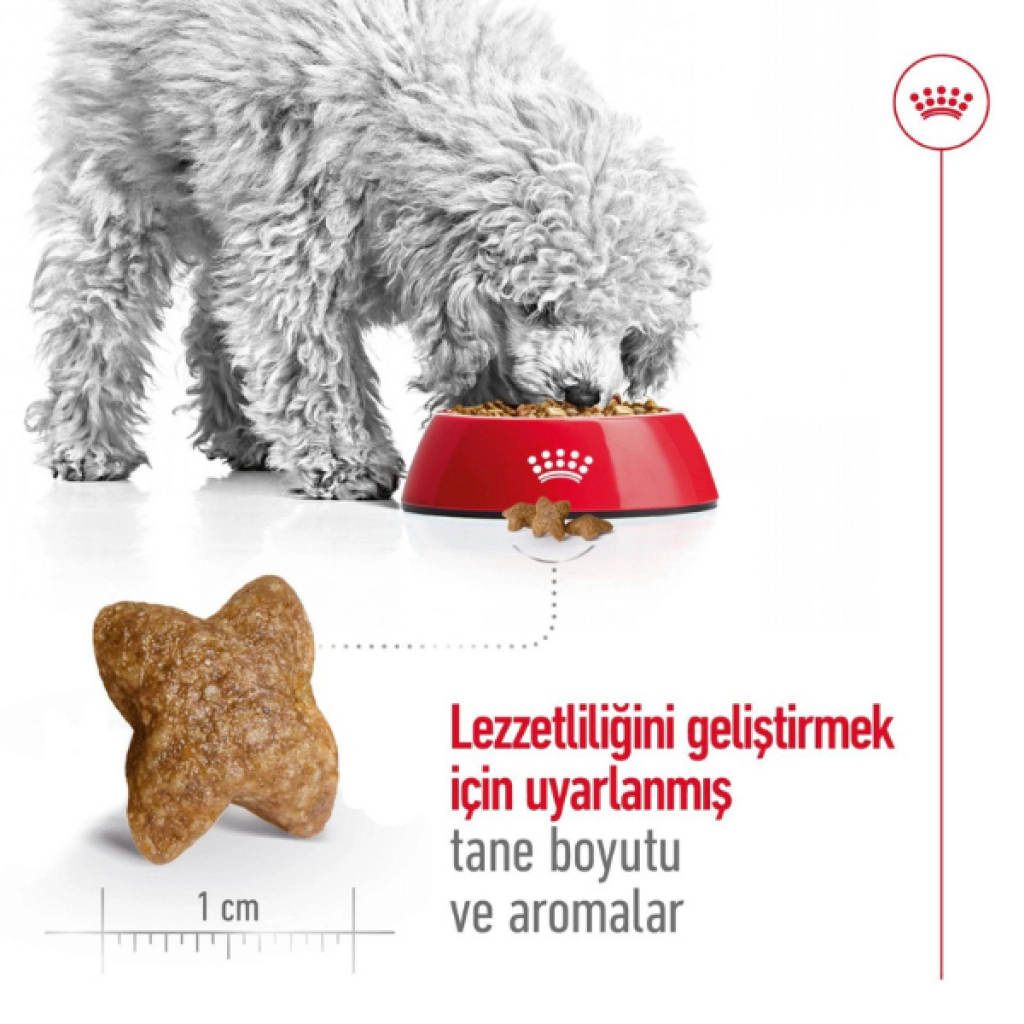 Royal Canin Mini Adult Küçük Irk Yetişkin Köpek Maması ambalaj görseli (4)