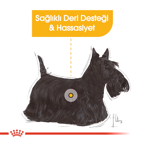 Royal Canin Mini Dermacomfort Yetişkin Köpek Maması ambalaj görseli (3)