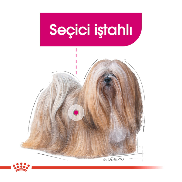 Royal Canin Mini Exigent Yetişkin Köpek Maması ambalaj görseli (3)