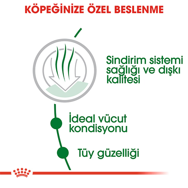 Royal Canin Mini Indoor Adult Küçük Irk Yetişkin Köpek Maması ambalaj görseli (3)