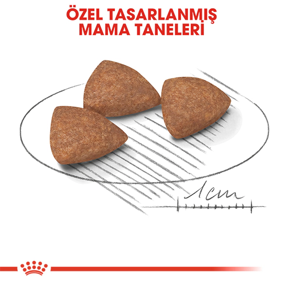 Royal Canin Mini Indoor Adult Küçük Irk Yetişkin Köpek Maması ambalaj görseli (4)