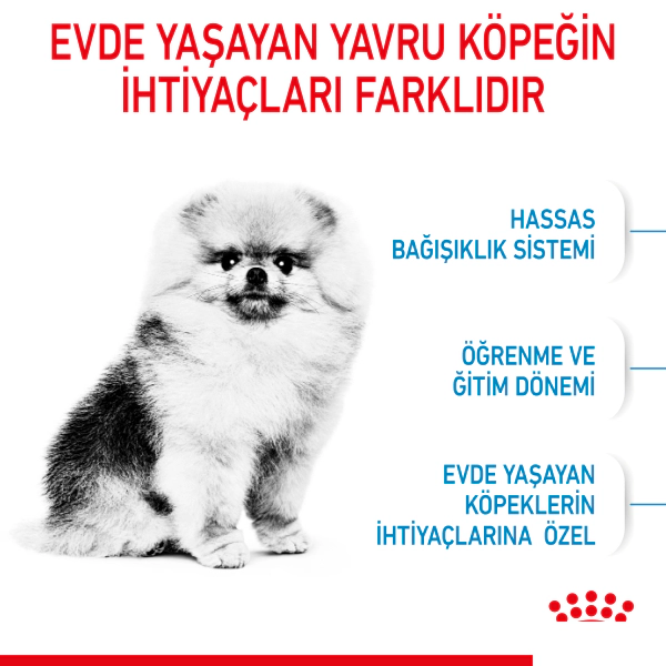Royal Canin Mini Indoor Puppy Küçük Irk Yavru Köpek Maması ambalaj görseli (2)