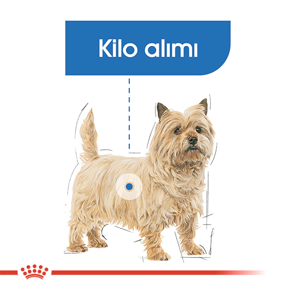 Royal Canin Mini Light Weight Care Yetişkin Köpek Maması ambalaj görseli (3)
