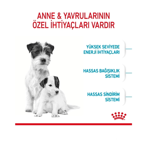 Royal Canin Mini Starter Mother&Babydog Küçük Irk Yavru Köpek Maması ambalaj görseli (3)