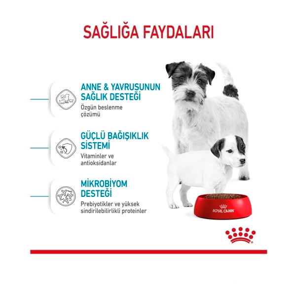 Royal Canin Mini Starter Mother&Babydog Küçük Irk Yavru Köpek Maması ambalaj görseli (4)