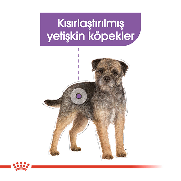 Royal Canin Mini Sterilised Küçük Irk Kısırlaştırılmış Köpek Maması ambalaj görseli (3)
