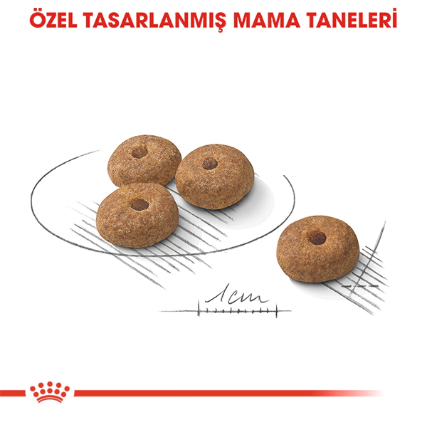Royal Canin Mini Sterilised Küçük Irk Kısırlaştırılmış Köpek Maması ambalaj görseli (5)
