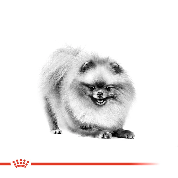 Royal Canin Pomeranian Adult Yetişkin Köpek Maması ambalaj görseli (4)
