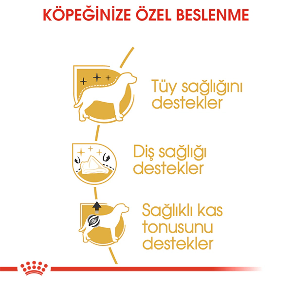 Royal Canin Poodle Adult Yetişkin Köpek Maması ambalaj görseli (4)