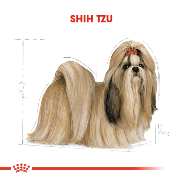 Royal Canin Shih Tzu Adult Yetişkin Köpek Maması ambalaj görseli (3)