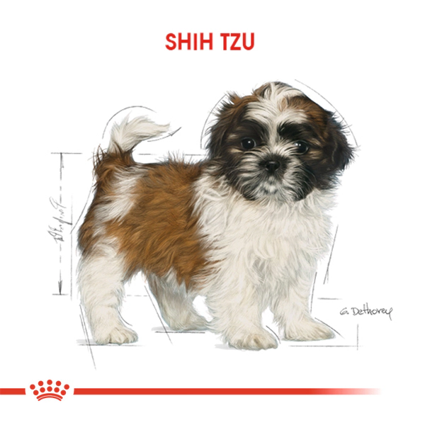 Royal Canin Shih Tzu Puppy Yavru Köpek Maması ambalaj görseli (3)