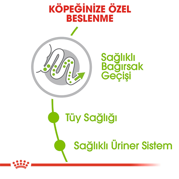 Royal Canin X-Small Adult Ekstra Küçük Irk Yetişkin Köpek Maması ambalaj görseli (3)