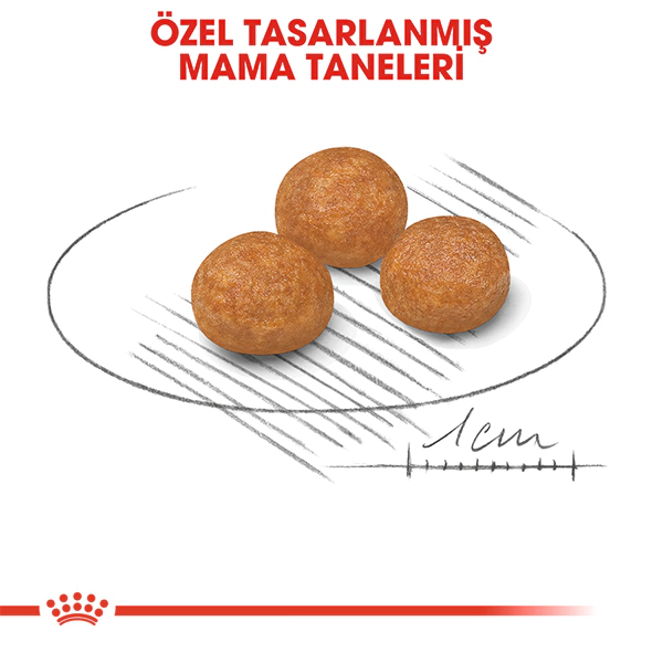 Royal Canin X-Small Adult Ekstra Küçük Irk Yetişkin Köpek Maması ambalaj görseli (4)