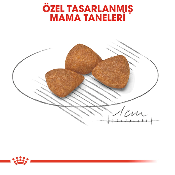 Royal Canin X-Small Ageing 12+ Ekstra Küçük Irk Yaşlı Köpek Maması ambalaj görseli (5)